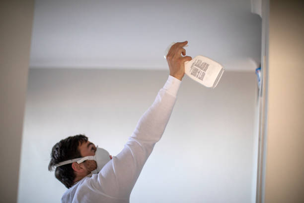 Best Attic Mold Remediation in Suffern, NY